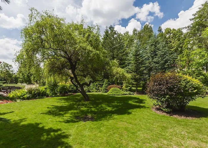 Bialy Dom ホステル